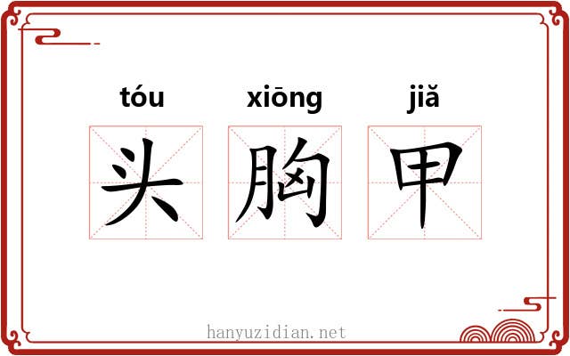 头胸甲 头胸甲