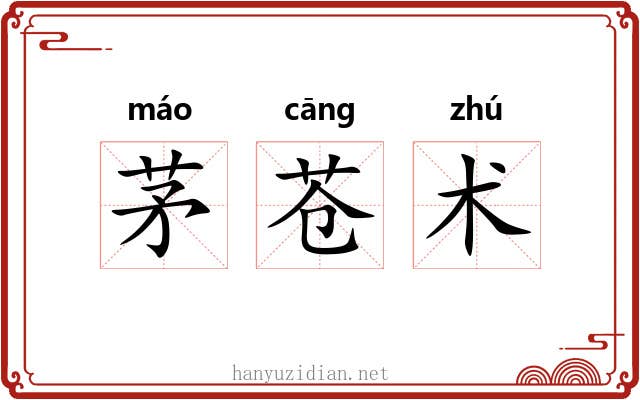 茅苍术