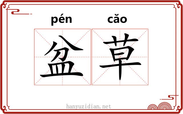 盆草 盆草
