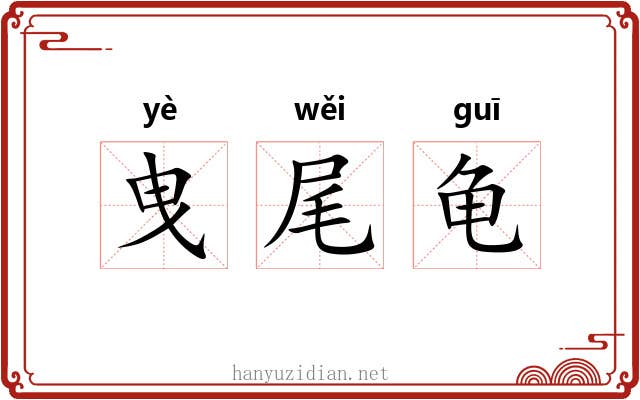 曳尾龟 曳尾龟