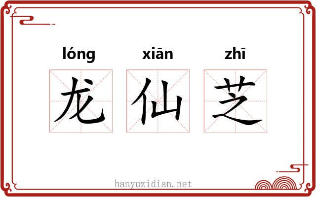 龙仙芝