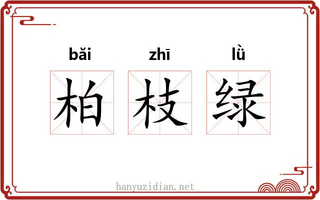 柏枝绿 柏枝绿