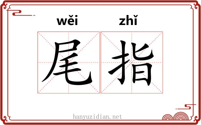 尾指 尾指