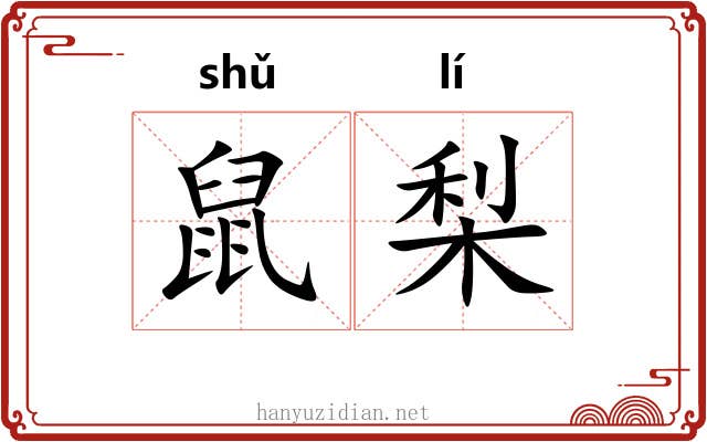 鼠梨