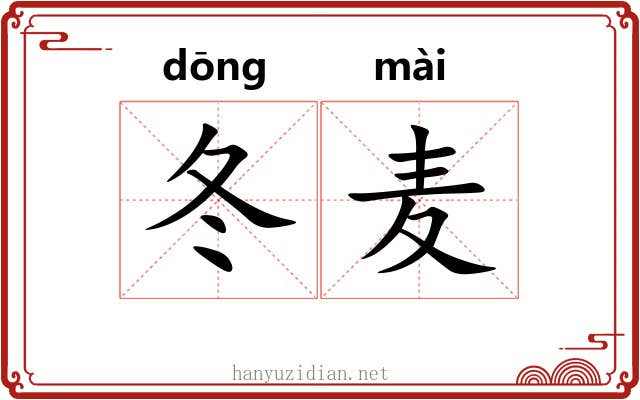 冬麦