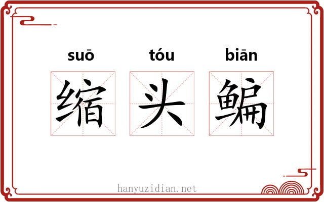 缩头鳊 缩头鳊
