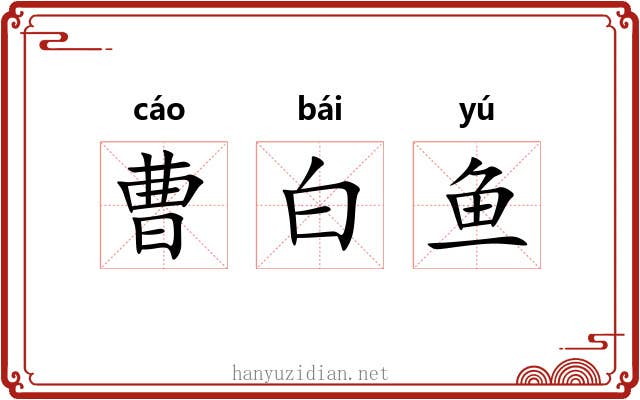 曹白鱼