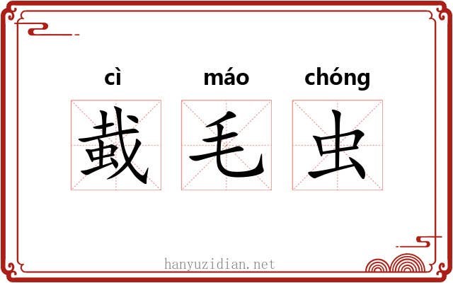 蛓毛虫