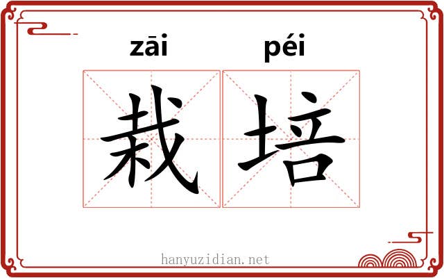 栽培