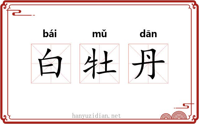 白牡丹 白牡丹