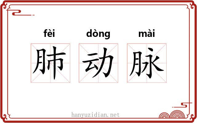 肺动脉