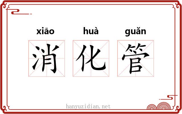 消化管