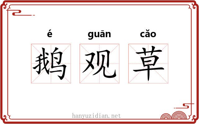 鹅观草 鹅观草