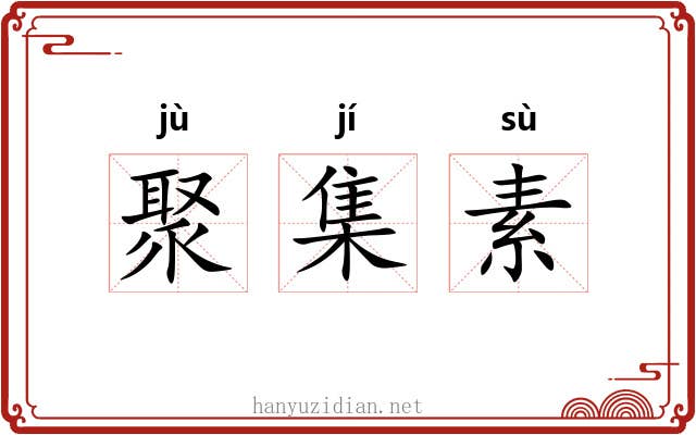 聚集素 聚集素