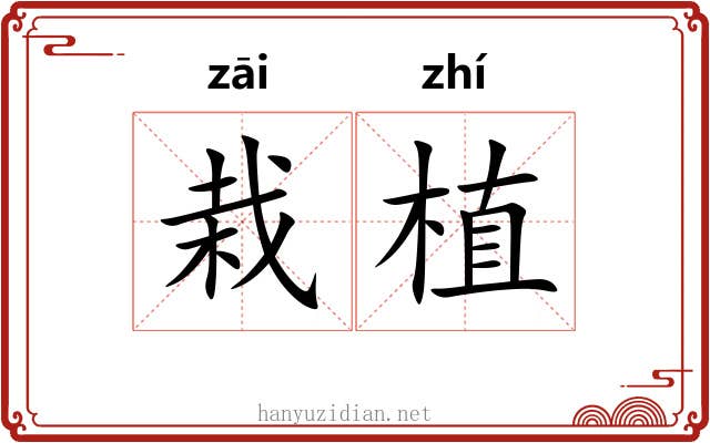 栽植