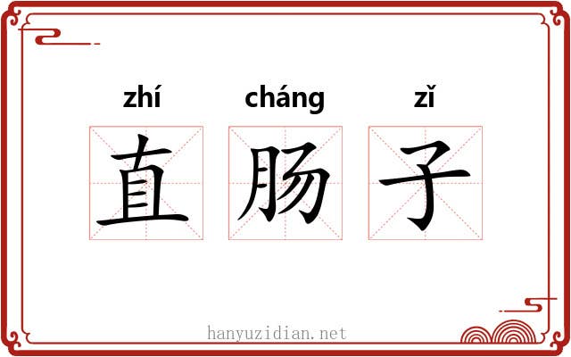 直肠子 直肠子