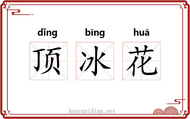 顶冰花 顶冰花