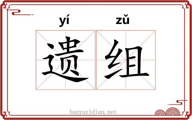 遗组 遗组