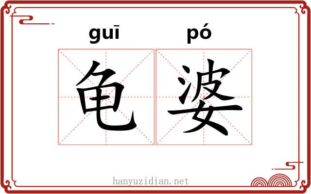 龟婆