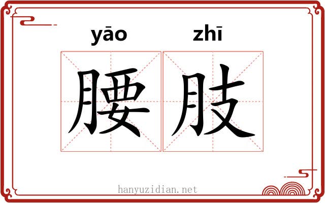 腰肢 腰肢