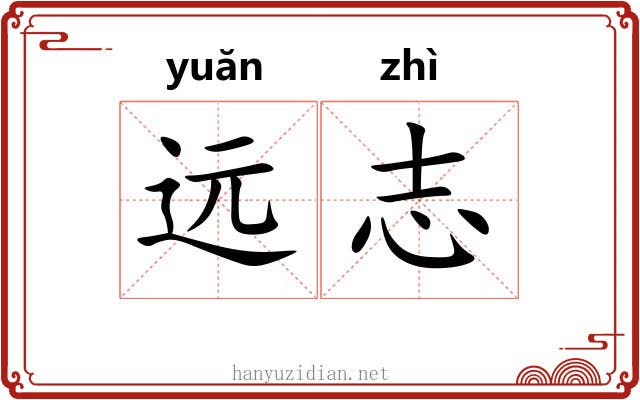 远志 远志