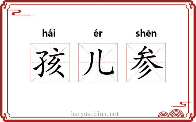 孩儿参