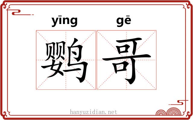 鹦哥