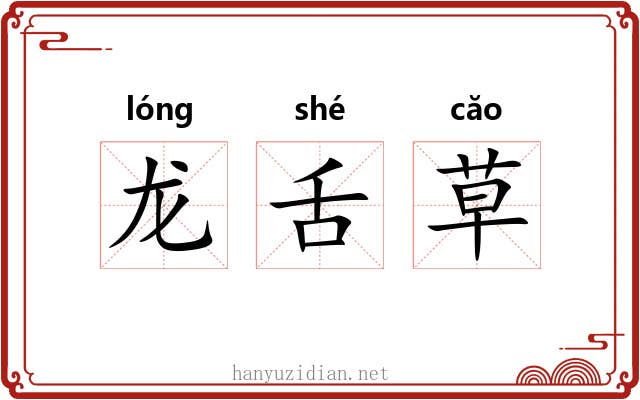龙舌草 龙舌草