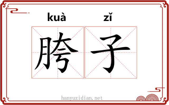 胯子 胯子
