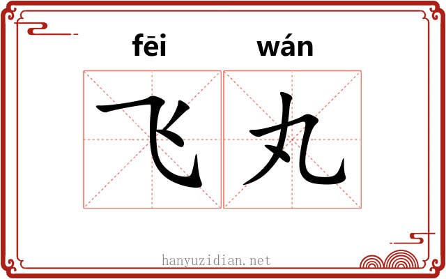 飞丸