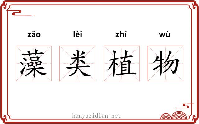 藻类植物