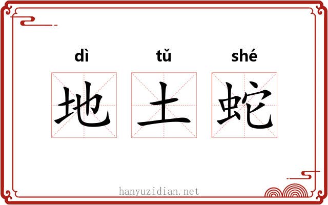 地土蛇 地土蛇