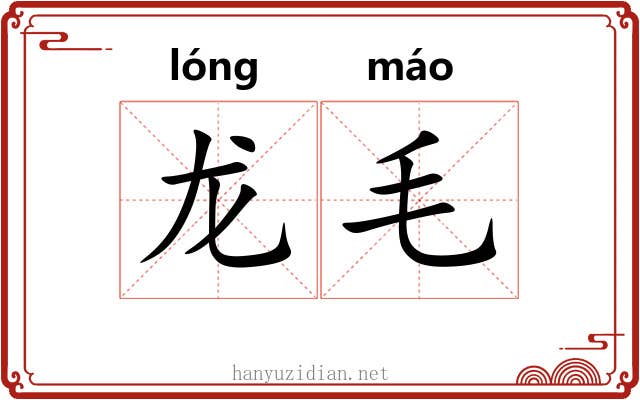 龙毛