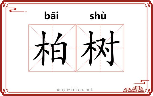 柏树