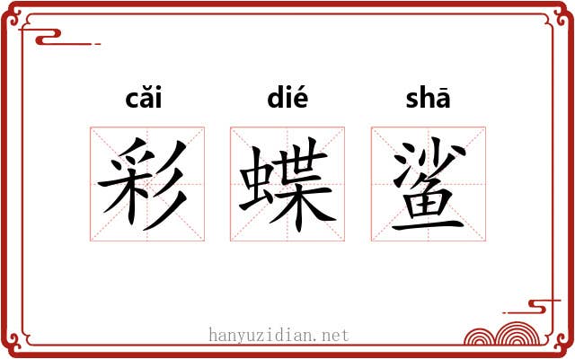 彩蝶鲨 彩蝶鲨