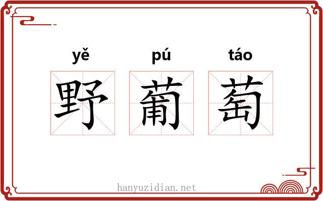 野葡萄 野葡萄