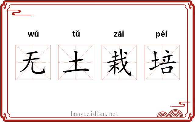 无土栽培 无土栽培