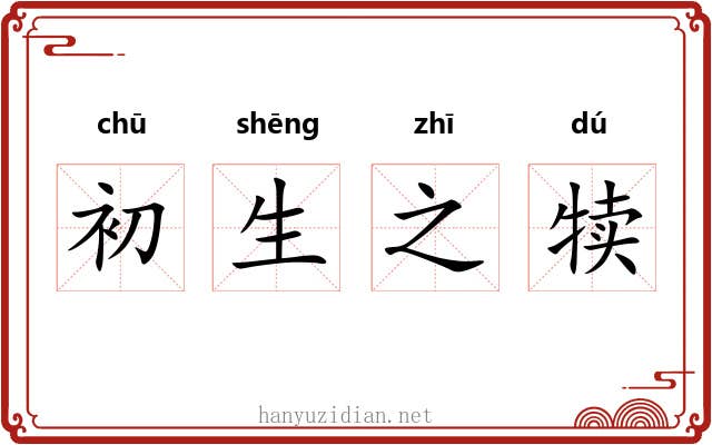 初生之犊 初生之犊