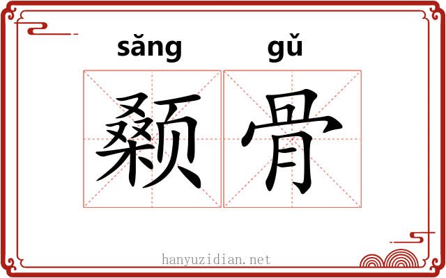 颡骨 颡骨