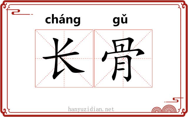 长骨 长骨