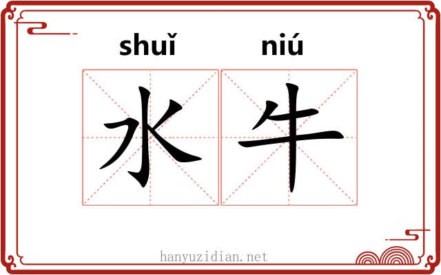 水牛