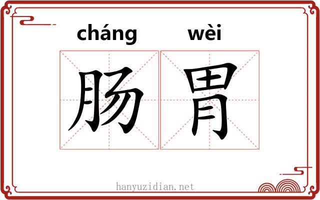 肠胃 肠胃