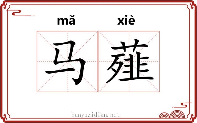 马薤