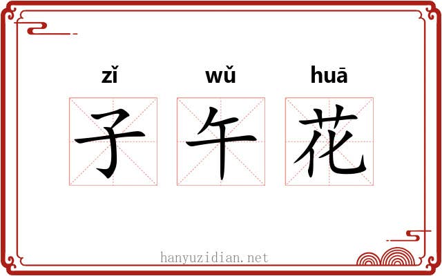 子午花 子午花