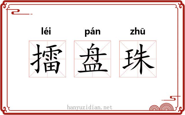 擂盘珠 擂盘珠