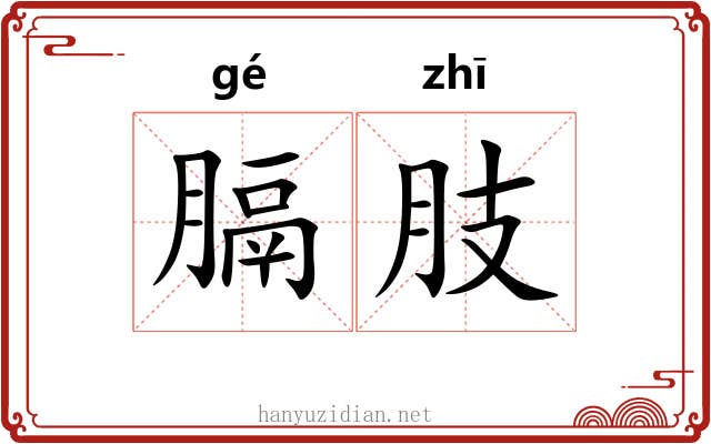 膈肢