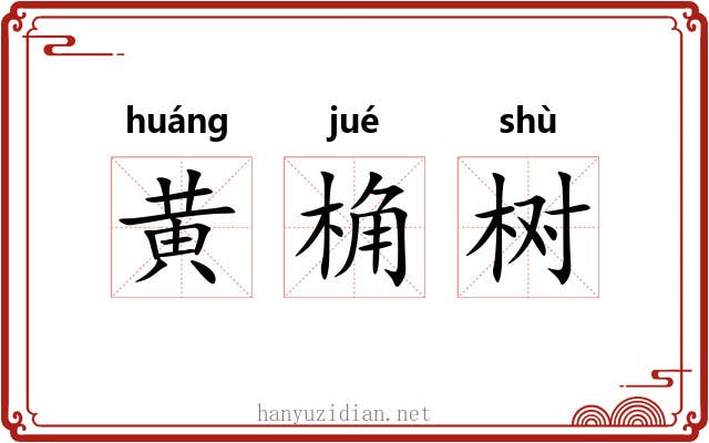 黄桷树 黄桷树
