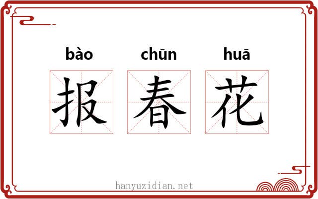 报春花 报春花