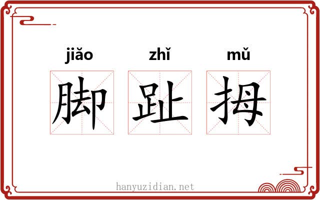 脚趾拇 脚趾拇