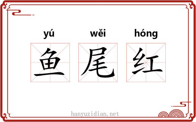 鱼尾红